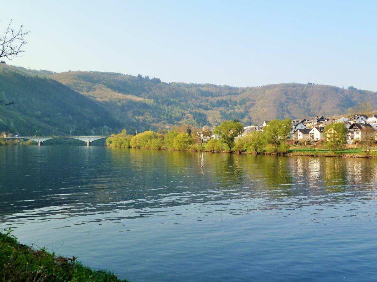 Mosel Ausblick Apartment Zell an der Mosel Ngoại thất bức ảnh