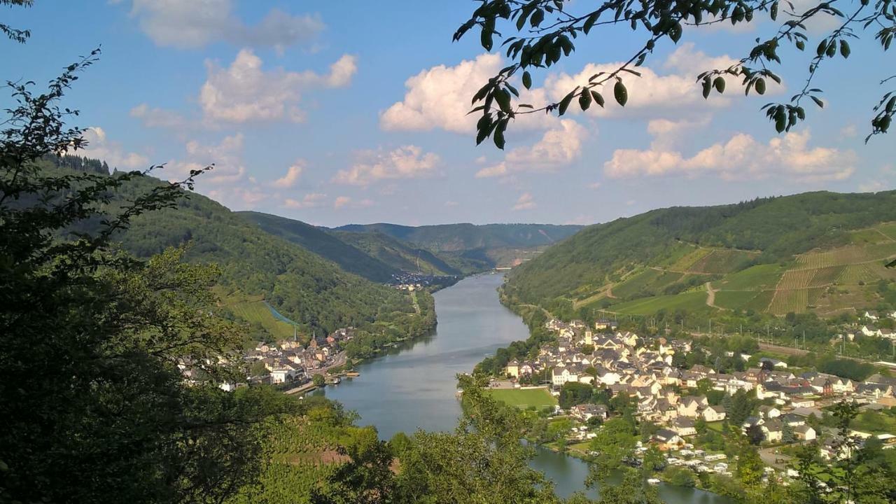 Mosel Ausblick Apartment Zell an der Mosel Ngoại thất bức ảnh